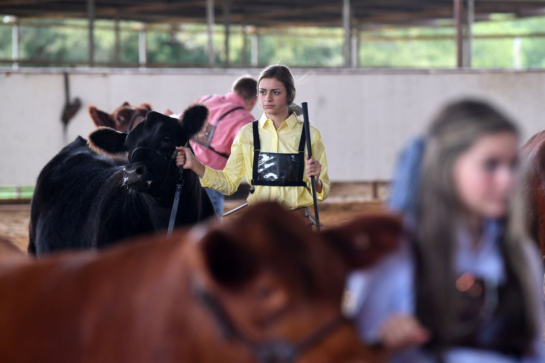 Burleson County Fair